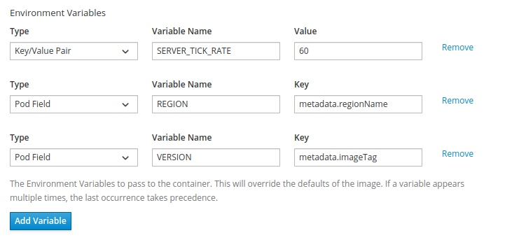 GUI_Create_Vessel_Containers_Environment_Variables.png