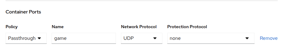 Screenshot of the Container Ports settings page showing how to select a Protection Protocol for each port.